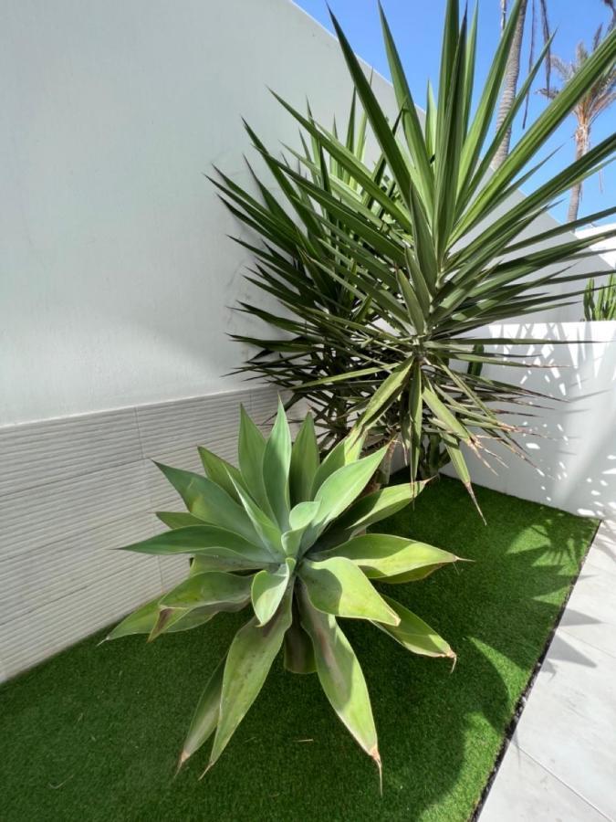 Corralejo Bristol Terrace Apartment Con Giardino Privato Esterno Экстерьер фото